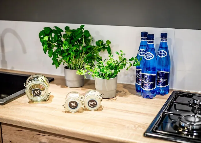 Lejlighed Nowoczesny Przy Rynku We Wroclawiu By Rent Like *